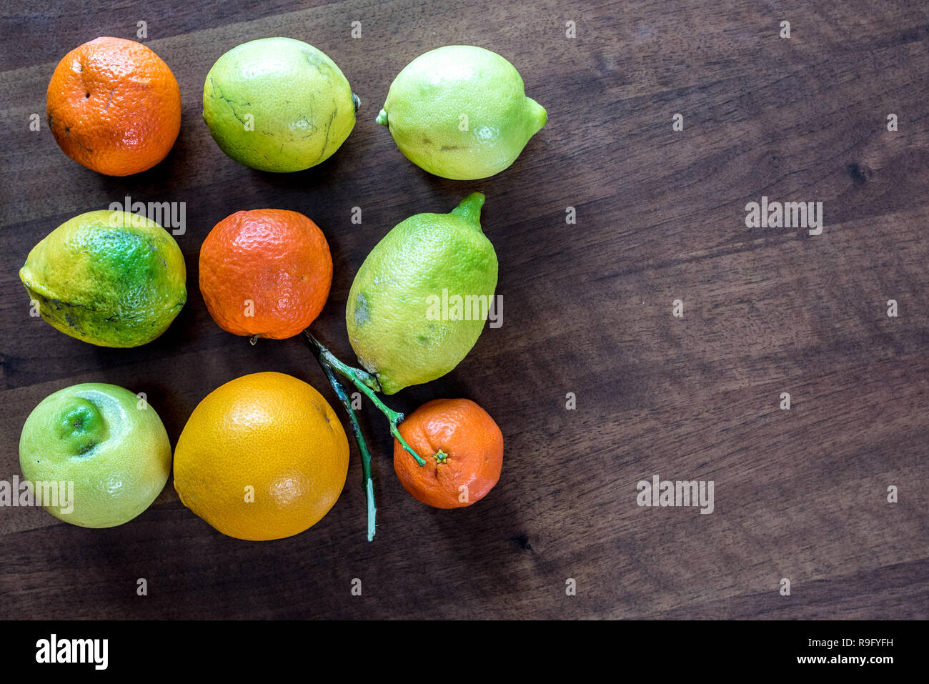 nine lemon, orange and mandarins, healthy food, resource of vitamin c