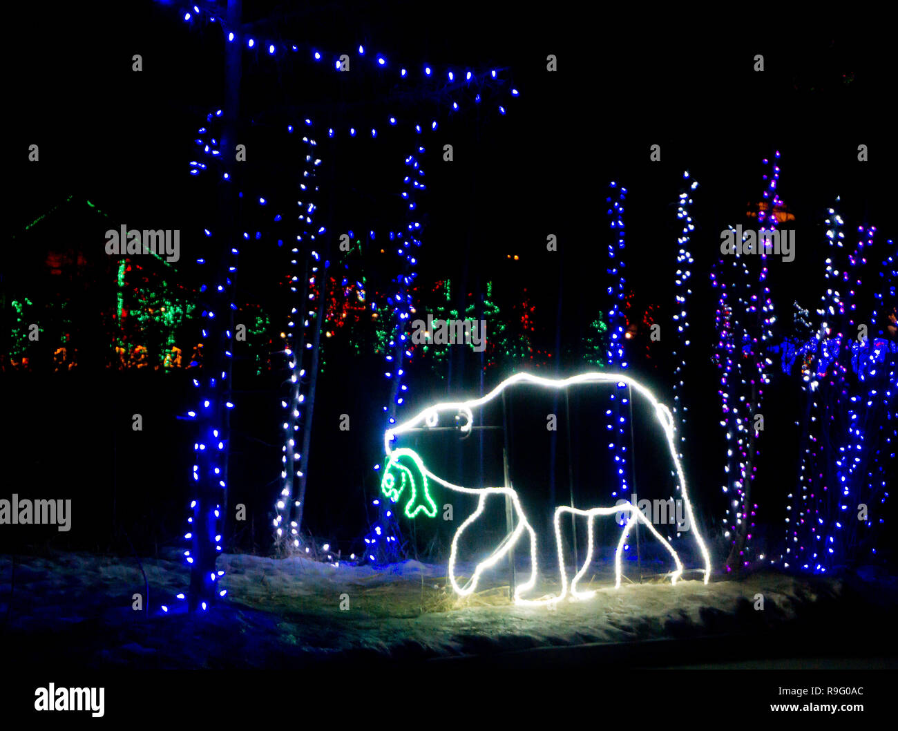 Calgary zoo lights hires stock photography and images Alamy