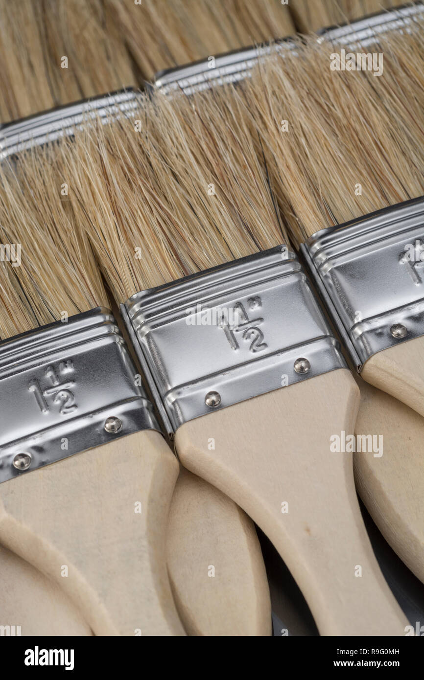 Close-up natural bristle wooden paintbrushes / paint brushes - metaphor for home decoration / decorating, painted in broad strokes, painting. Stock Photo