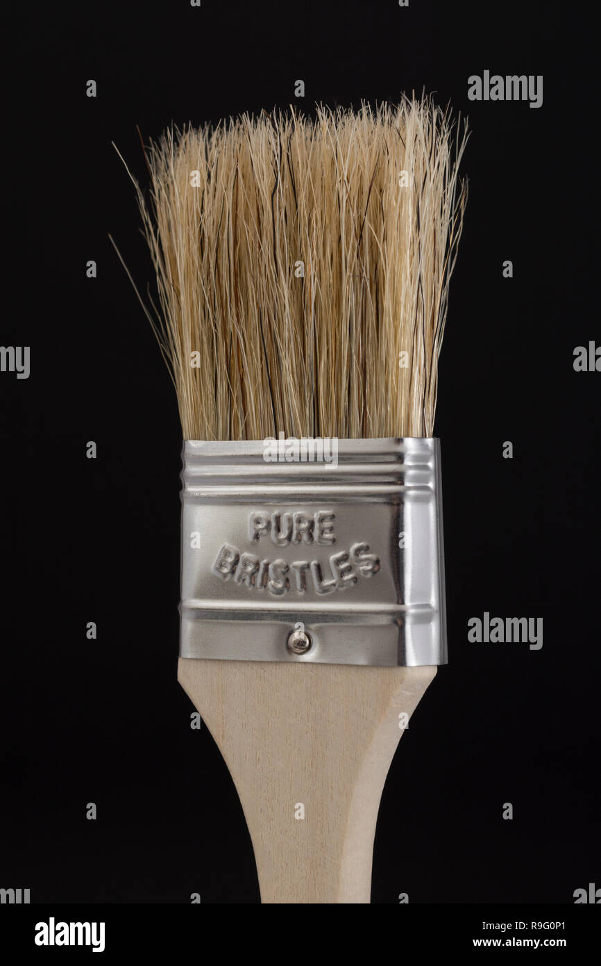 Close-up natural bristle wooden paintbrush / paint brush - metaphor for home decoration / decorating, painted in broad strokes, painting. Stock Photo