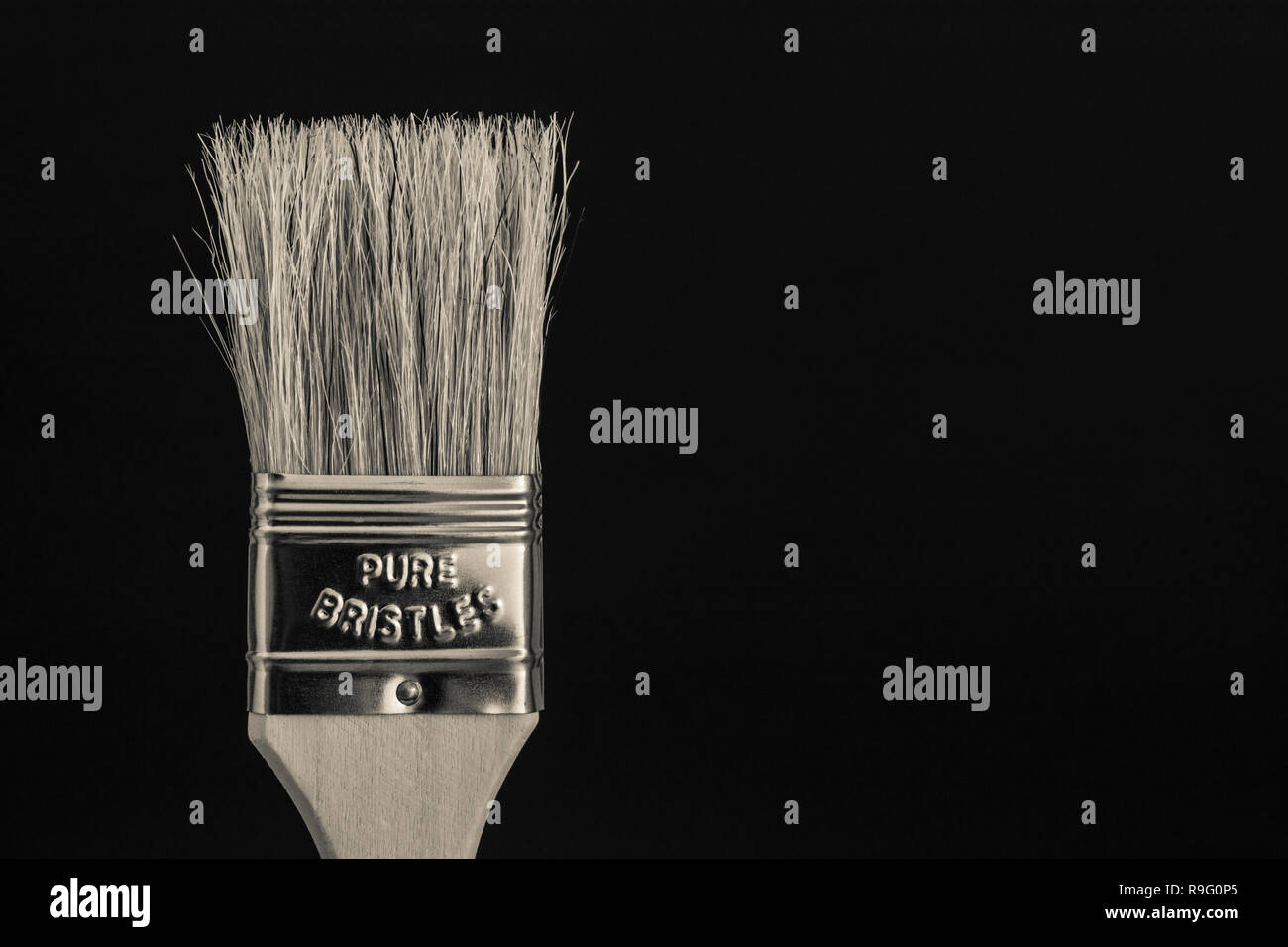 Black & white of natural bristle wooden paintbrush / paint brush. Metaphor home decorating, painted in broad strokes, painting. Color version R9G0P3 Stock Photo