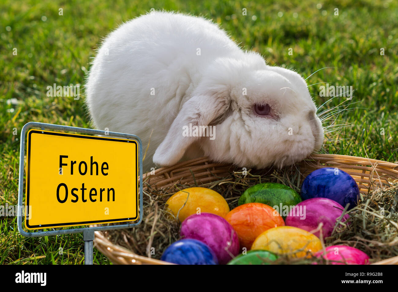 Happy Easter Easter Bunny Place-name sign Stock Photo