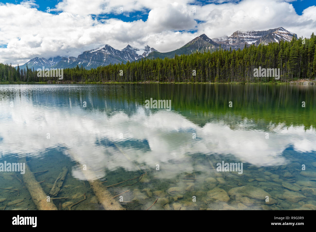 Reflection on Herbert Lake along the Icefields Parkway in Banff National Park, Alberta, Canada Stock Photo