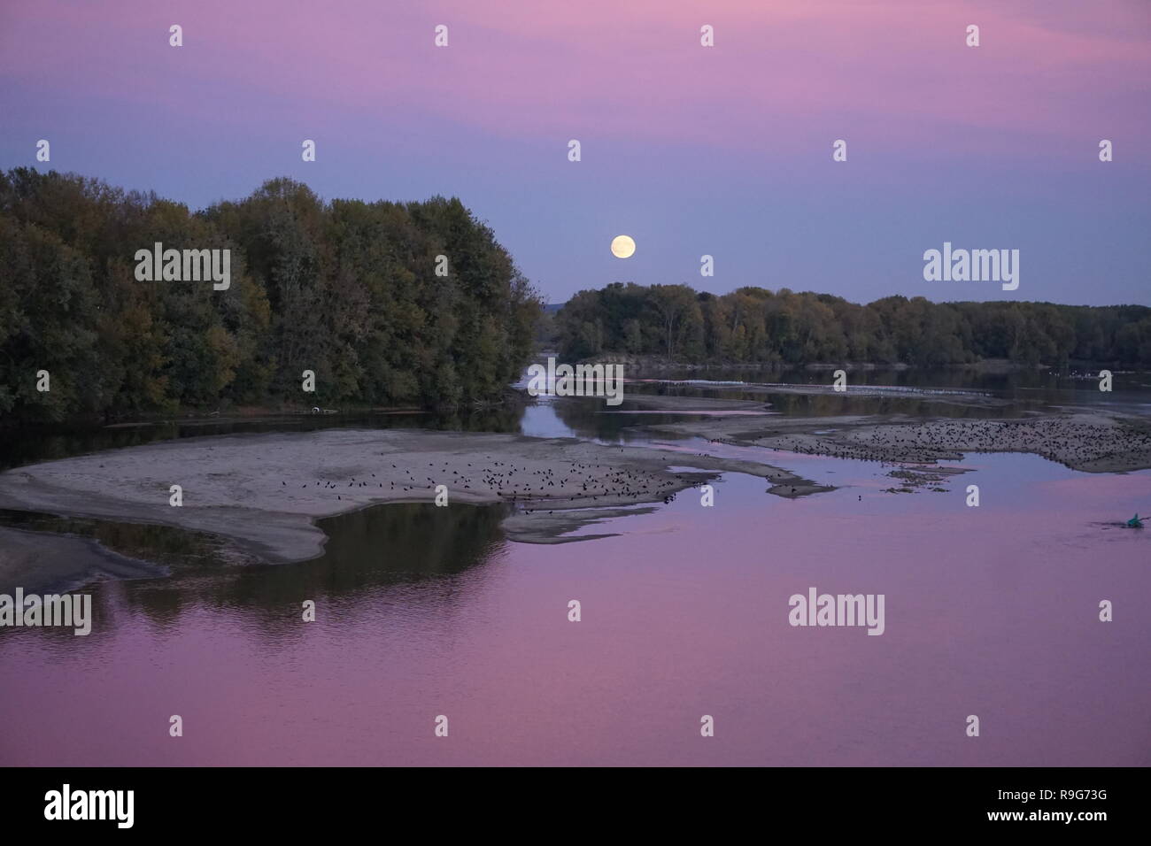Full moon rising on the Loire river, France in a pink glow with all kinds of birds and sand bars Stock Photo