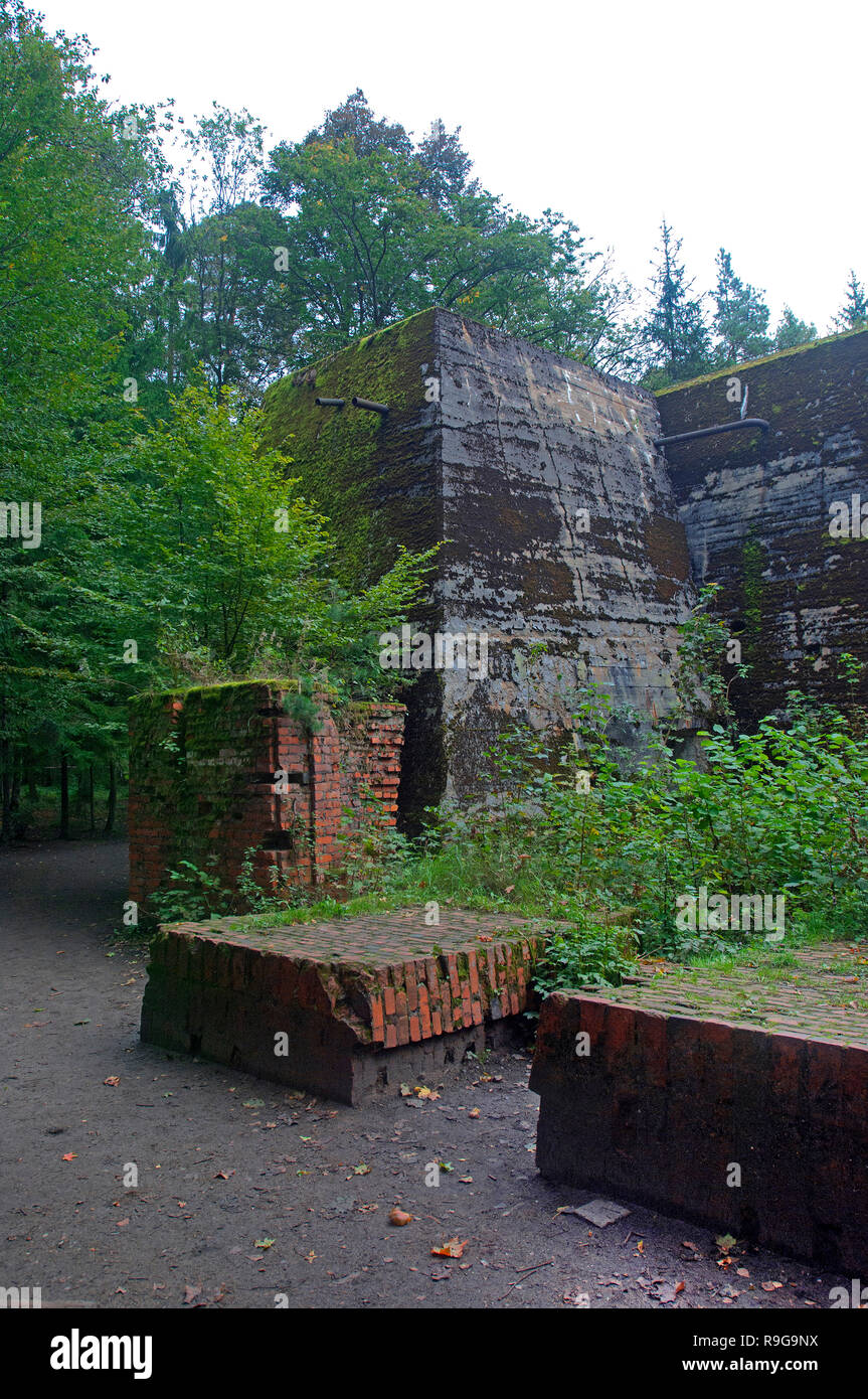 Remains of Wolf's Lair (german: Wolfsschanze), Führer's headquarters of Adolf Hitler, Rastenburg, Masuria, Poland, Europe Stock Photo