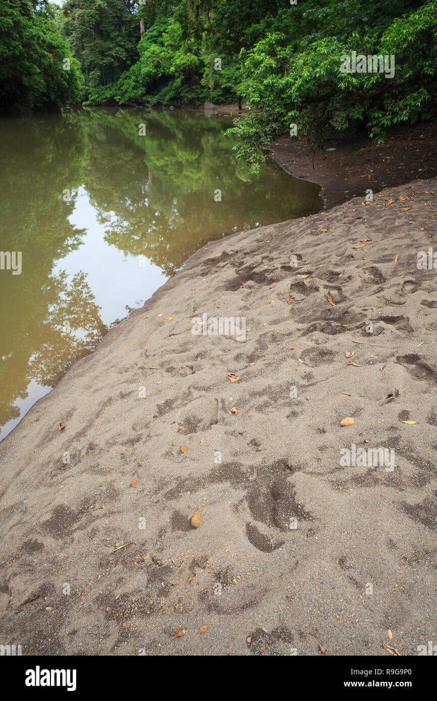 Riverside sand hi-res stock photography and images - Alamy