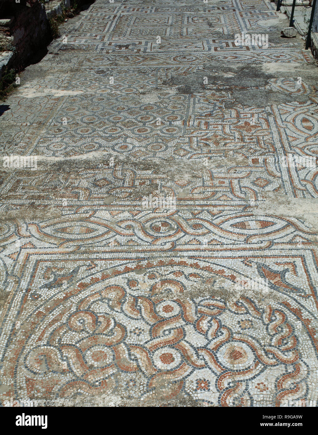 Turkey Ephesus Terrace Houses Ornate Mosaics On The Floor Floral 