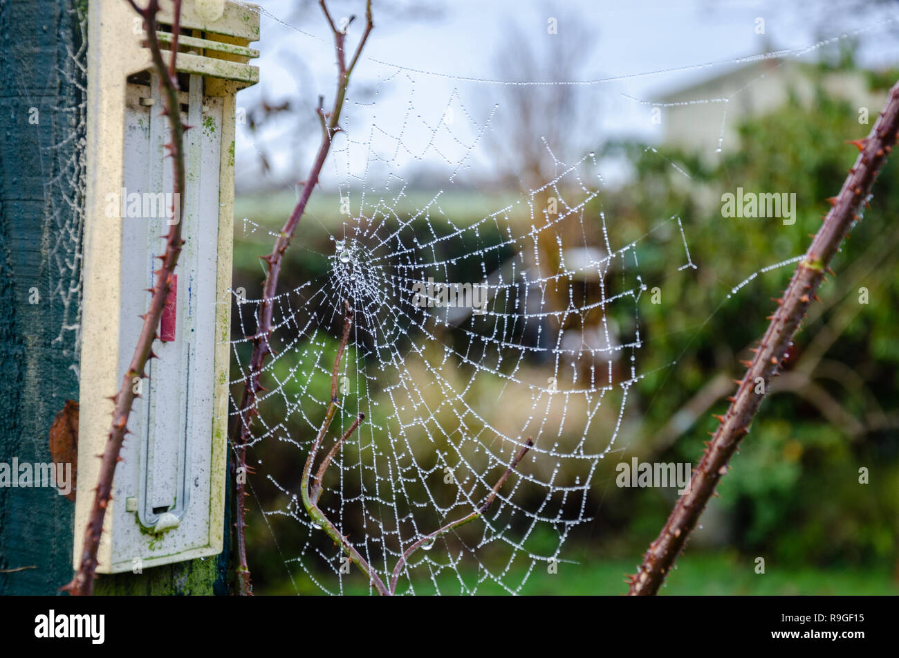 South Staffordshire, UK. 24th Dec, 2018. UK Weather: Early morning sun on what looks to be a warm Christmas Eve in south Staffordshire near Wolverhampton. Matthew Ashmore/Alamy Live News Stock Photo