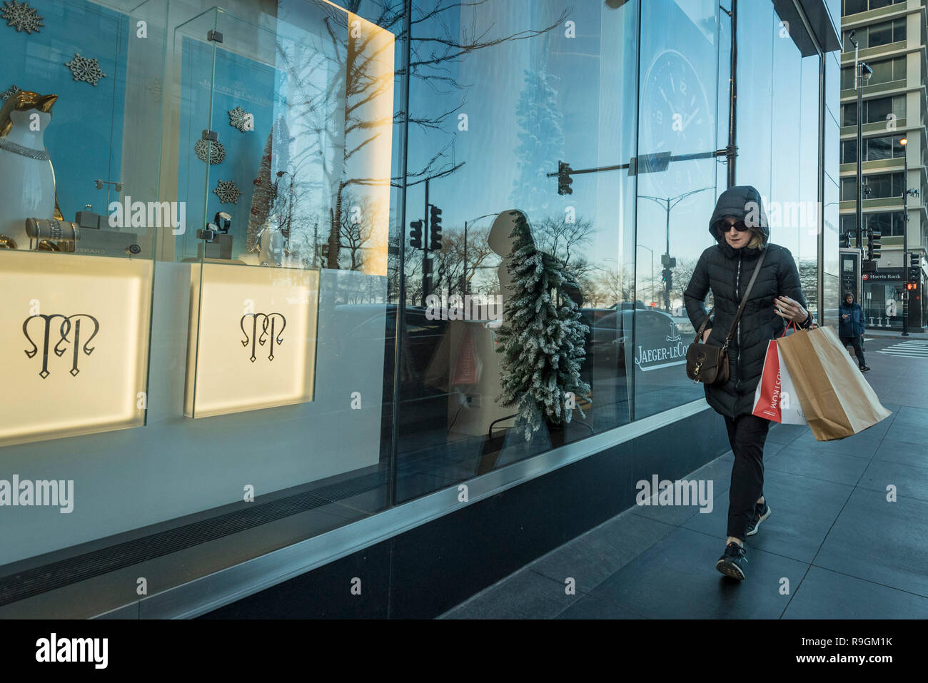 Chicago, USA.  24 December 2018.  A woman shops for last minute gifts on Christmas Eve in a chilly downtown on Michigan Avenue's Magnificent Mile. Credit: Stephen Chung / Alamy Live News Stock Photo