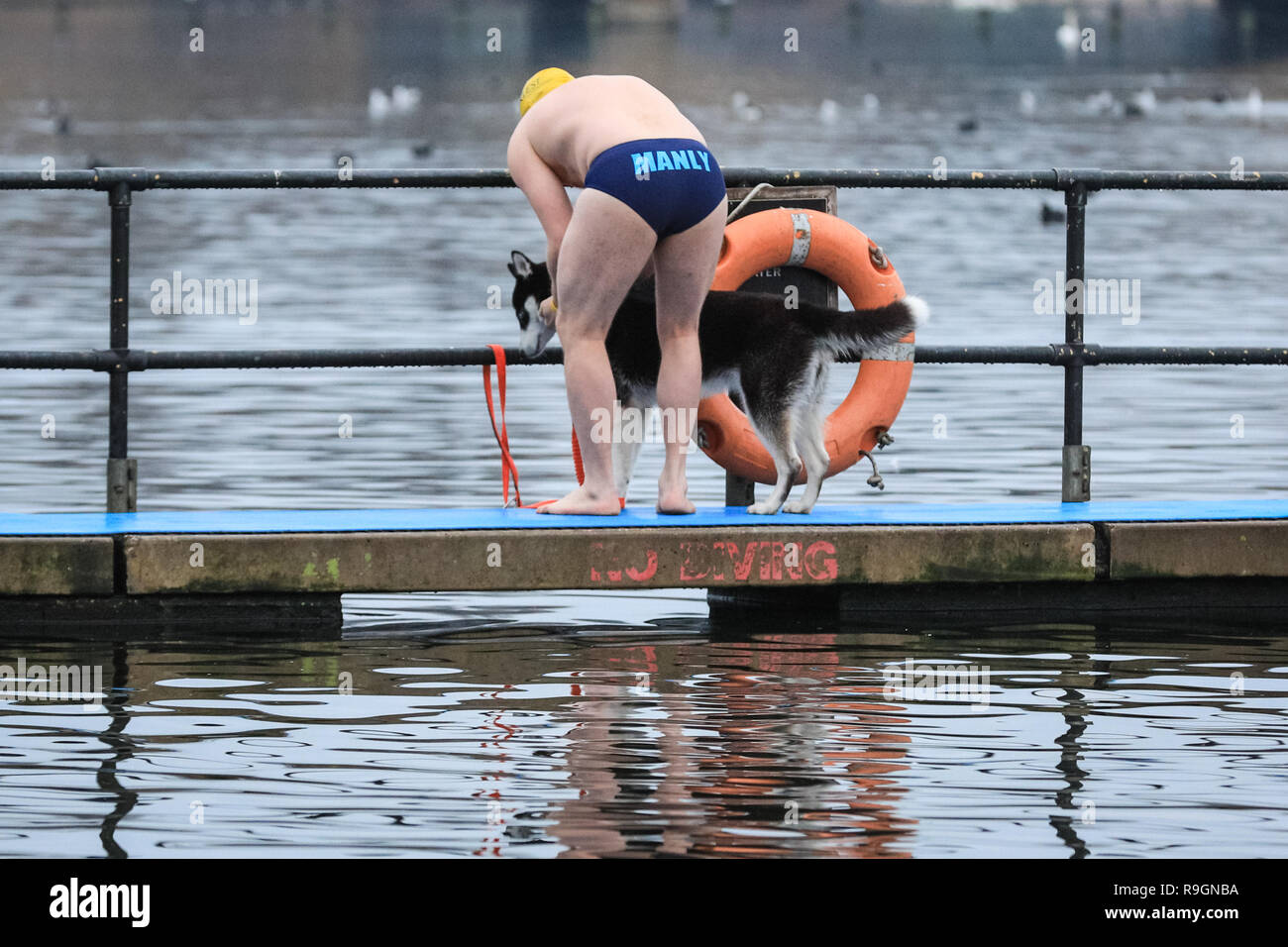 speedo christmas swim cap