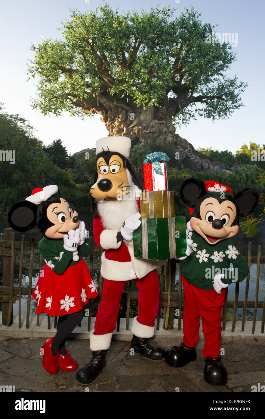 LAKE BUENA VISTA, FL - DECEMBER 02: Three of the canine stars of the upcoming Disney Blu-Ray and DVD film 'Treasure Buddies' make a special appearance during taping of the 'Disney Parks Christmas Day Parade' at the Magic Kingdom park on December 2, 2011 in Lake Buena Vista, Florida. The 28th annual 'Disney Parks Christmas Day Parade' airs nationwide December 25, 2011 on ABC-TV and features performances by a variety of stars from both Disneyland Resort in California and Walt Disney World Resort in Florida.  People:  3 Puppies, Treasure Buddies Stock Photo