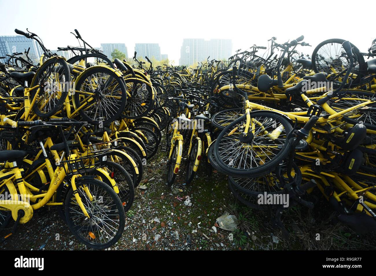 ofo bike news