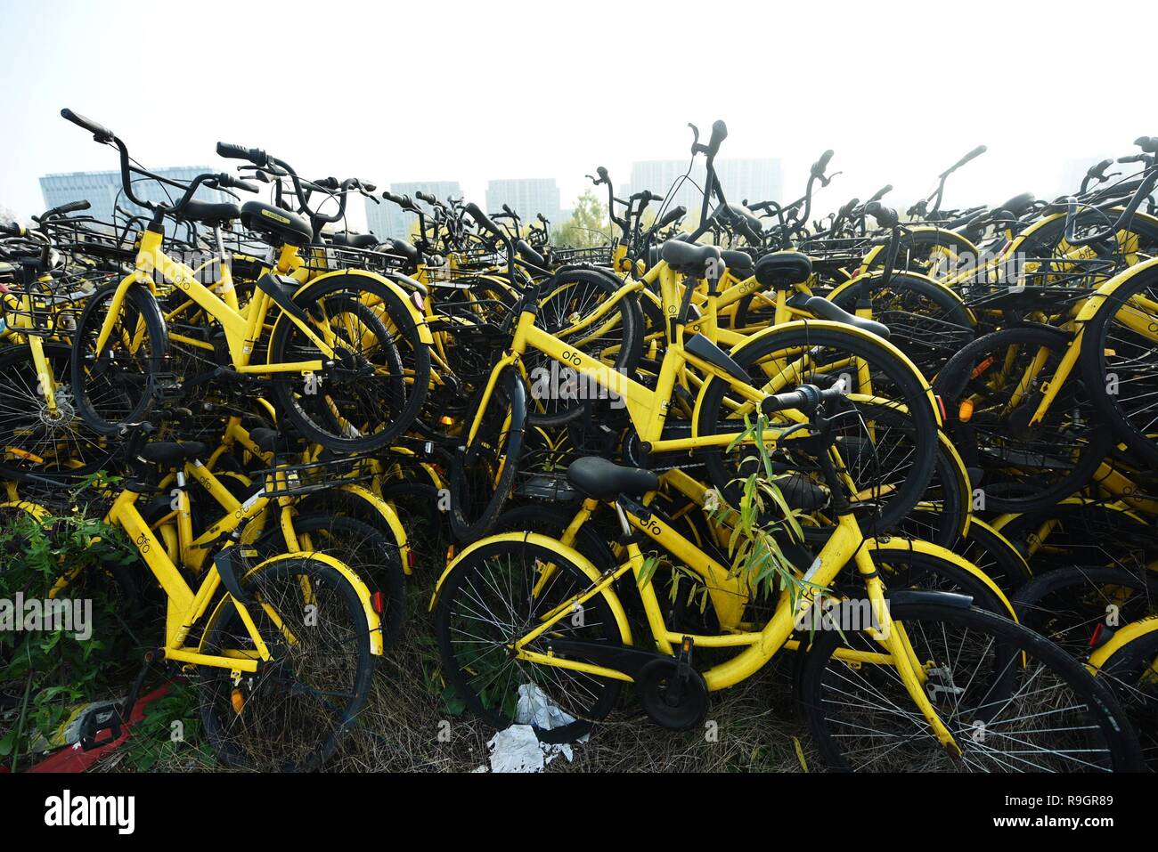 Hangzhou, Hangzhou, China. 25th Dec, 2018. Hangzhou, CHINAThousands of