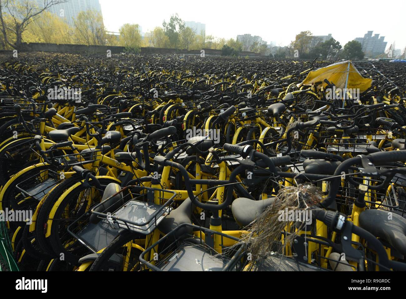 Hangzhou, Hangzhou, China. 25th Dec, 2018. Thousands of OFO bikes are