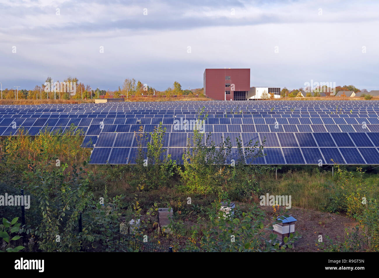 SSE Solar meadow powers Edinburgh college in Eskbank, Dalkeith, Midlothian, Scotland, UK, EH22 Stock Photo