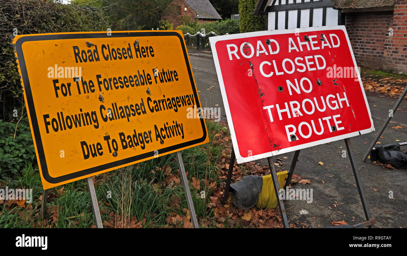 Road Closed Here signs, Following Collapsed Carriageway, Due To Badger Activity, No Through Route, Great Budworth, Northwich, Cheshire, UK Stock Photo