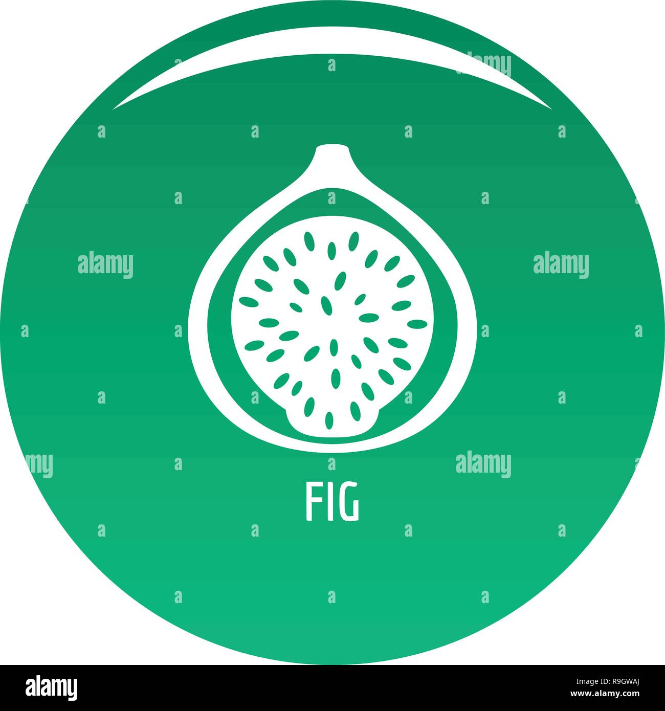 Fig icon. Simple illustration of fig vector icon for any design green ...