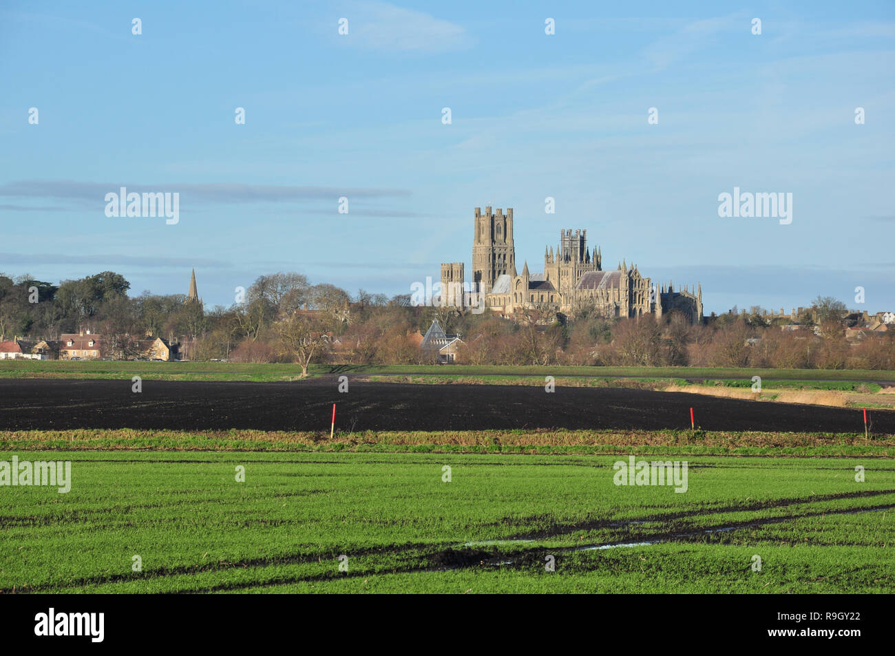 Ely Cathedral (with Maltings in front and spire of St Mary's Church to the left), Ely, Cambridgeshire, England, UK Stock Photo