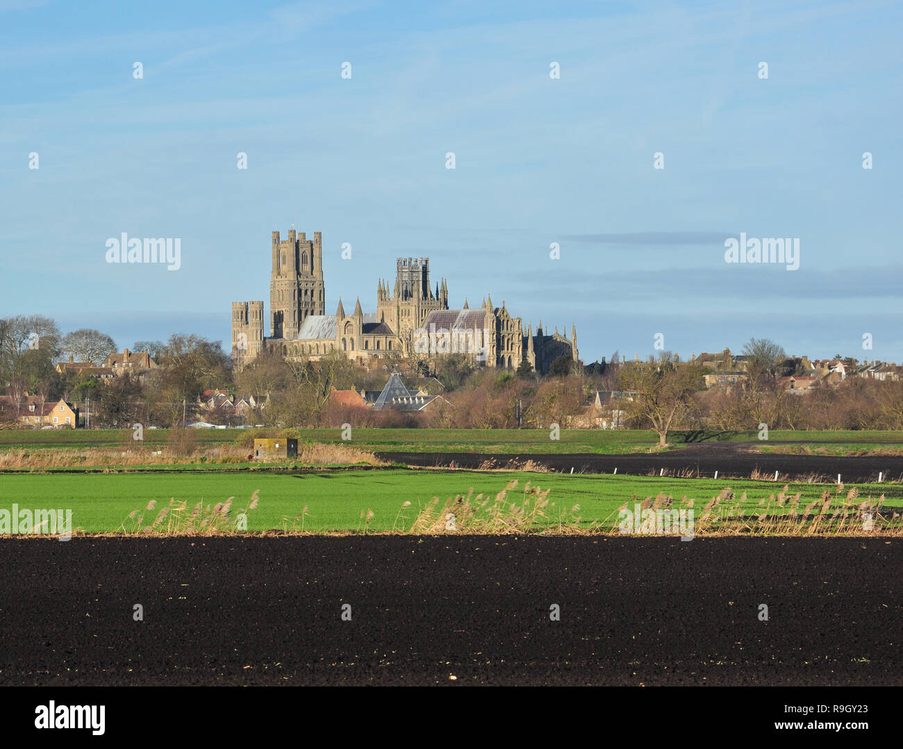 Ely Cathedral (with Maltings in front and black fen soil in foreground), Ely, Cambridgeshire, England, UK Stock Photo