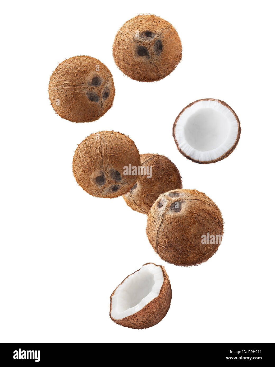 Falling coconut, isolated on white background, full depth of field, clipping path Stock Photo