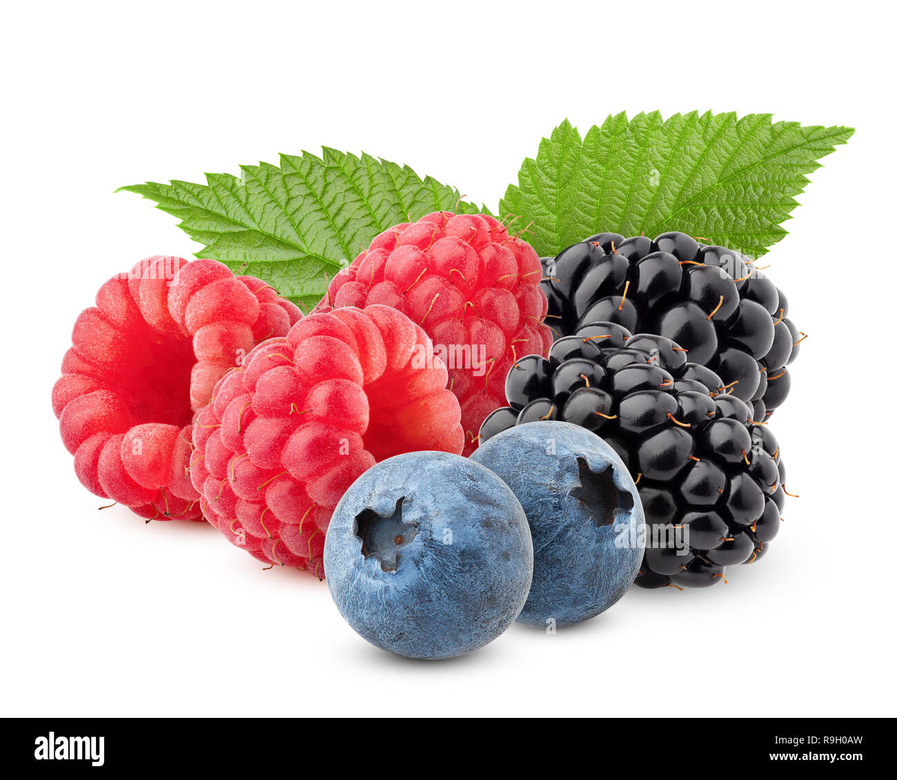 wild berries mix, raspberry, blueberries, blackberries isolated on white background, clipping path, full depth of field Stock Photo