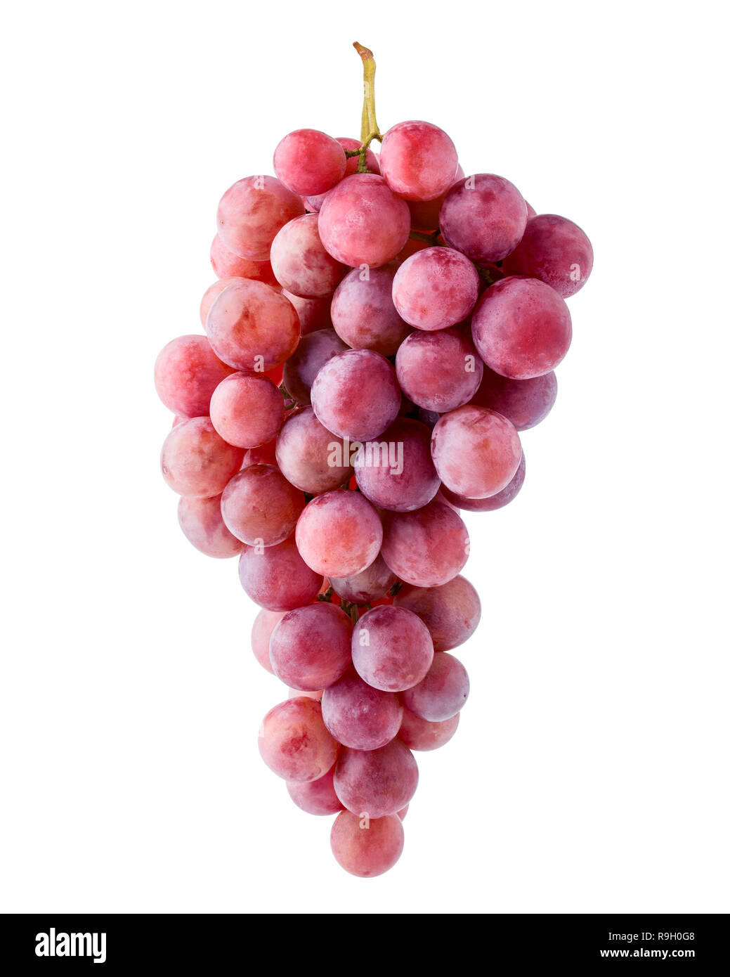 Red grape, isolated on white background, clipping path, full depth of field Stock Photo