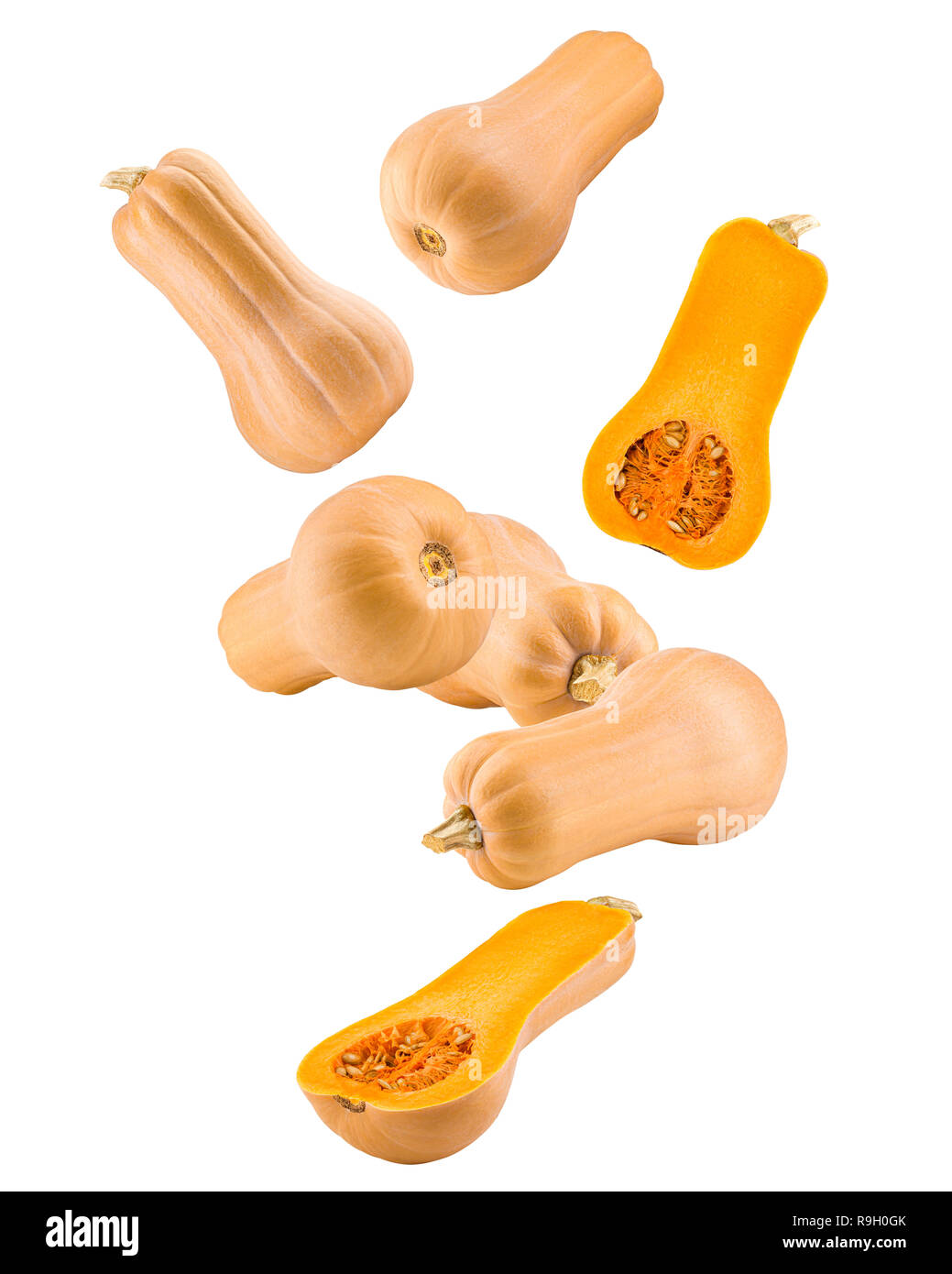 Falling pumpkin butternut squash isolated on white background, clipping path, full depth of field Stock Photo