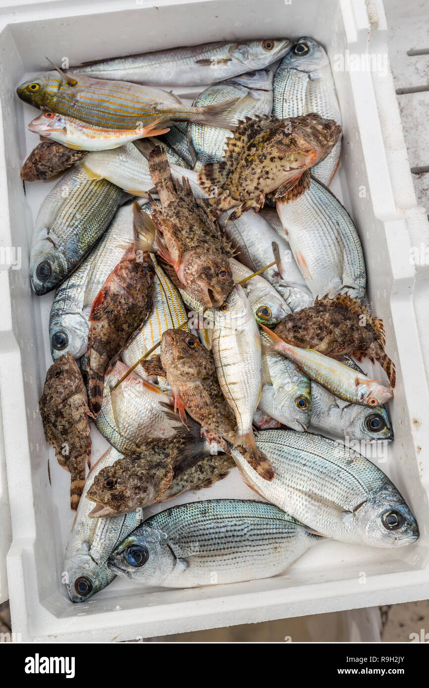 Fish box hires stock photography and images Alamy