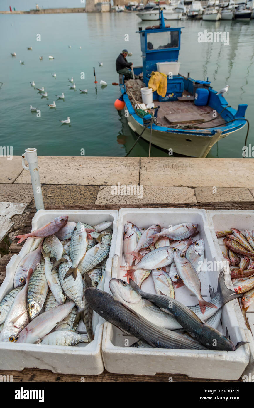 Fish box hi-res stock photography and images - Alamy