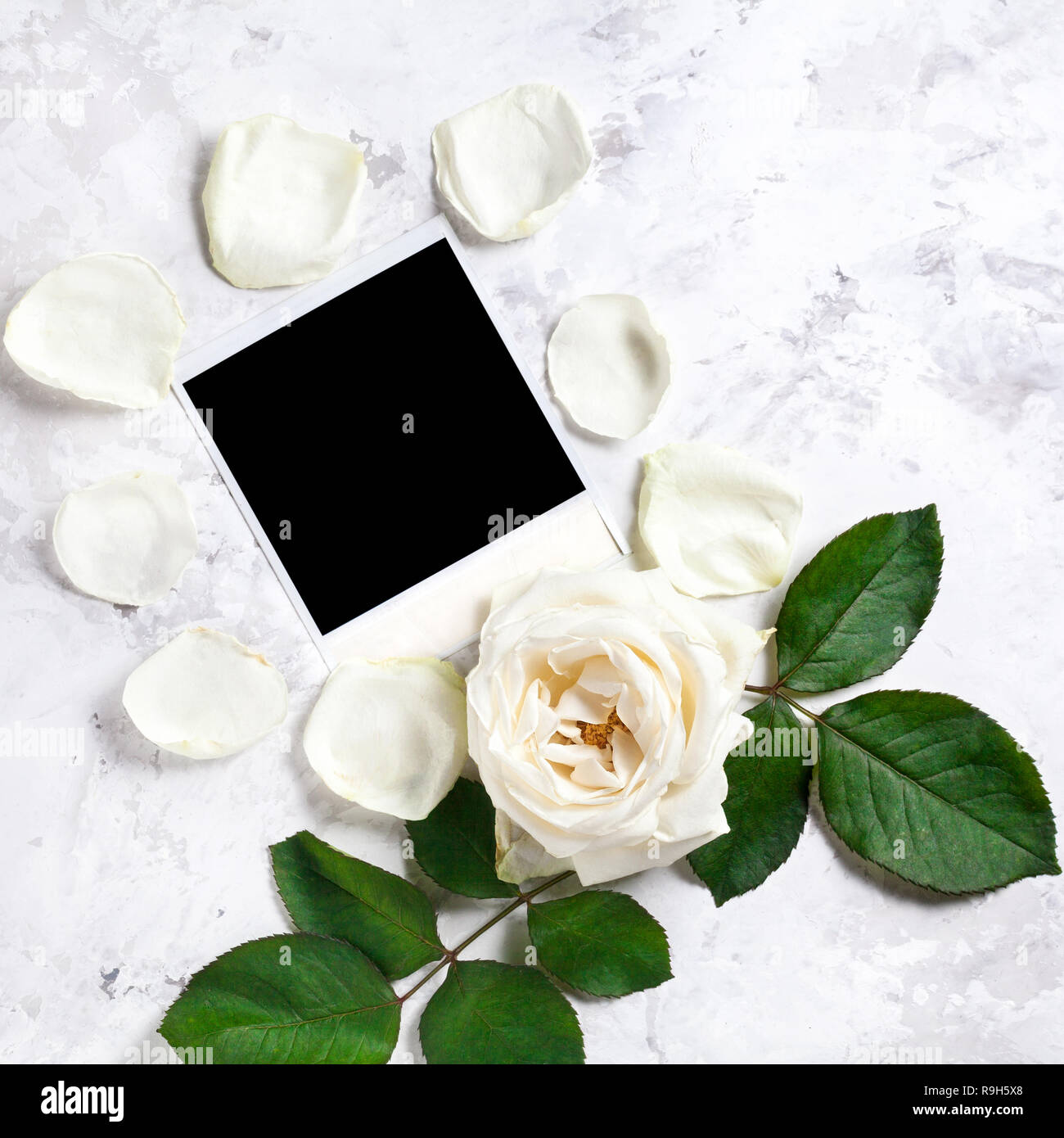 Blank photo frame near white rose and petals on white marble background Stock Photo