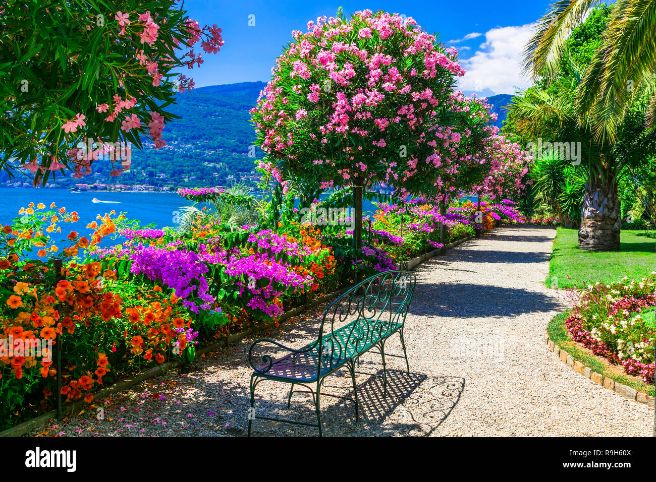 Beautiful isola madre,Lago Maggiore,vie with trees,flowers and lake,North italy. Stock Photo