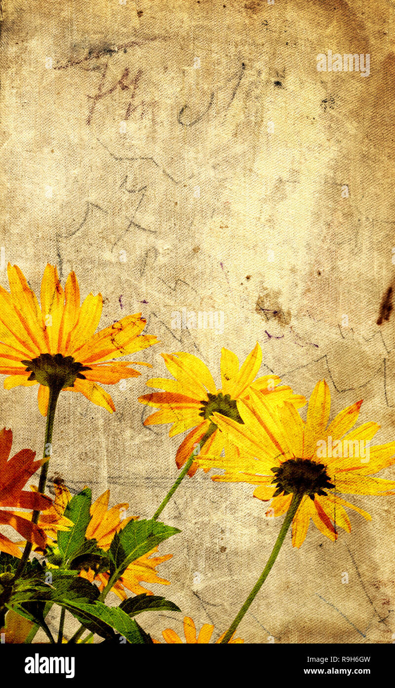 Grunge background with flowers and paper texture Stock Photo - Alamy