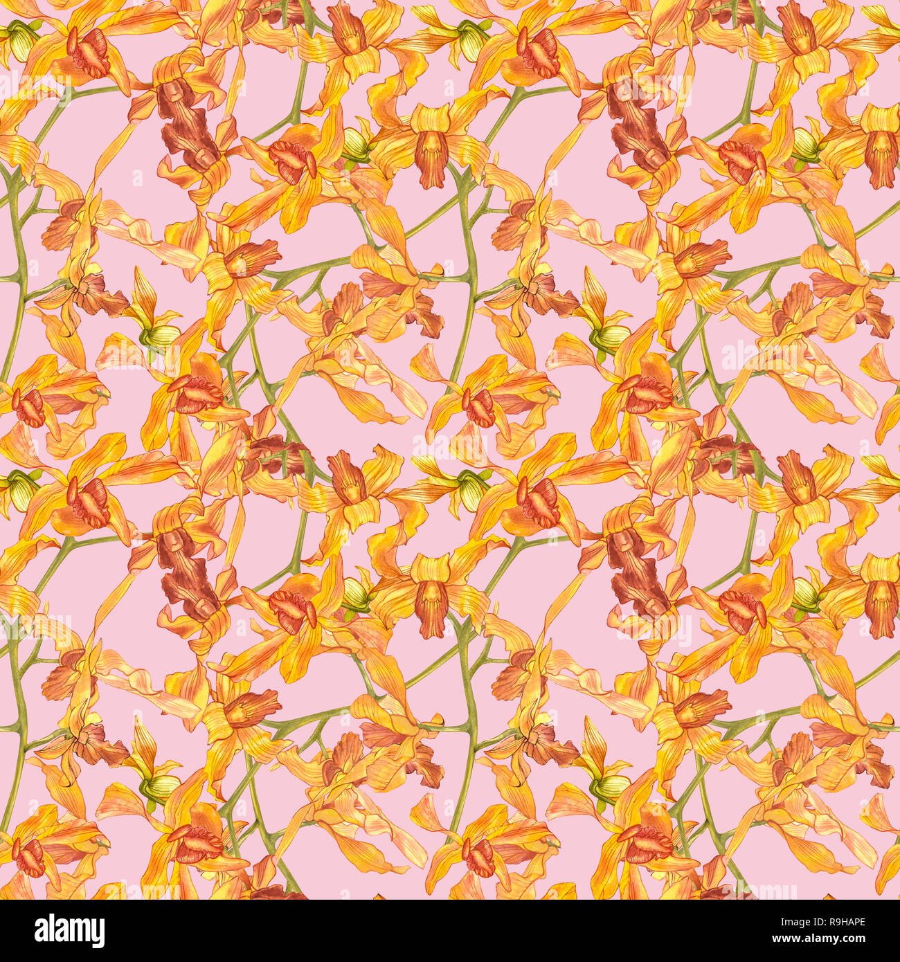 Watercolor orchid branch, hand drawn floral seamless pattern background ...