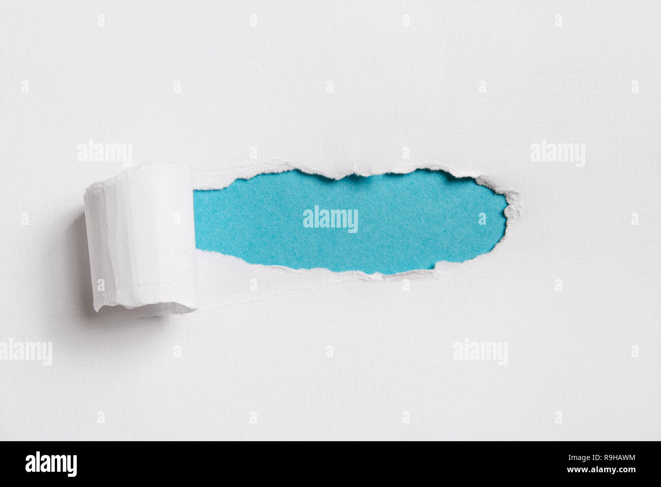 Torn white paper with blue copy space for your text Stock Photo
