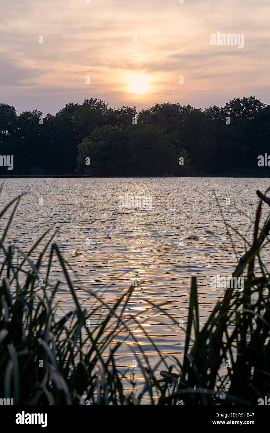 Sunset at Brunswick pond Mittelteich in summer Stock Photo