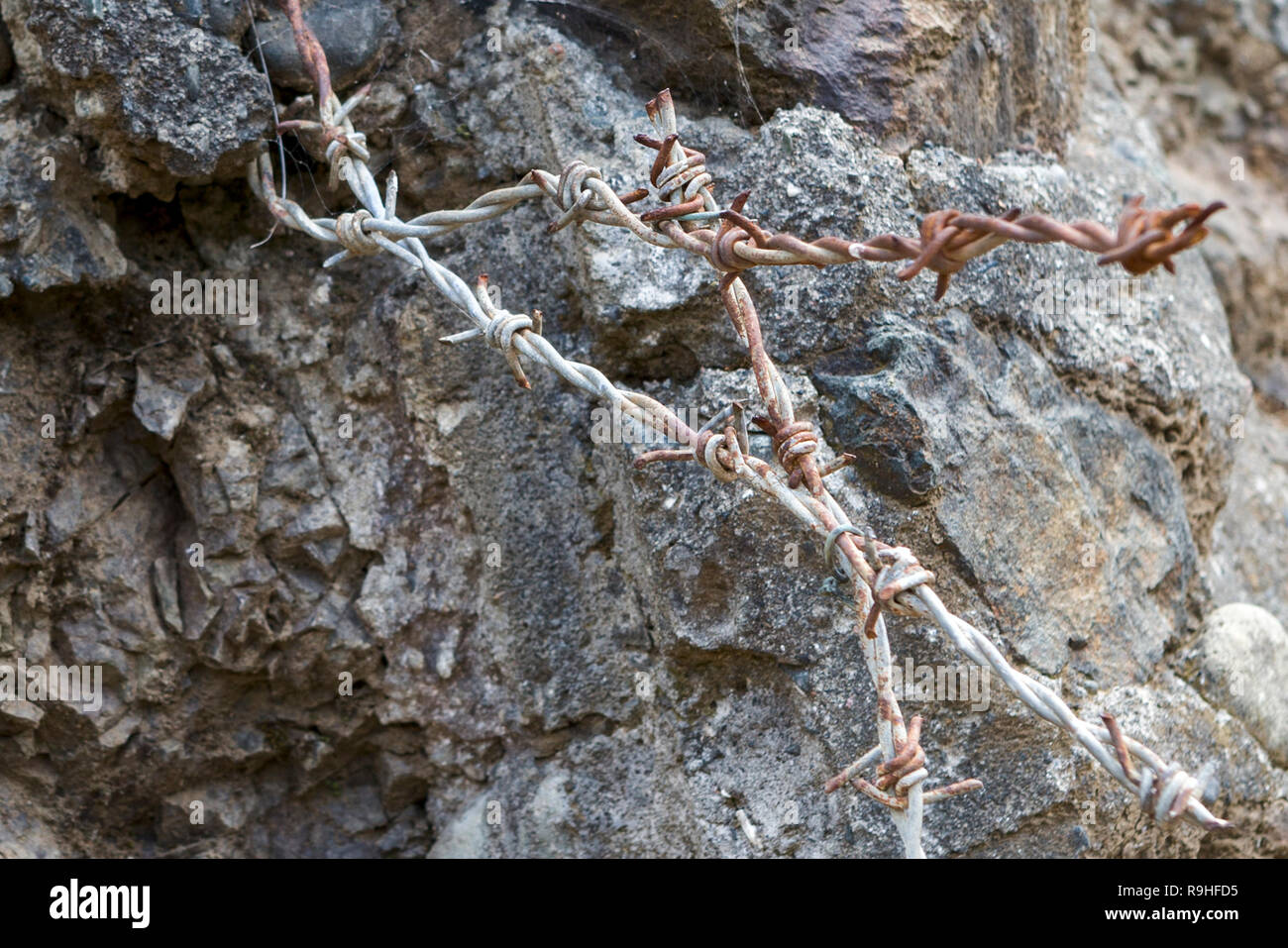Barbed wire, Spac communist prisoner torture camp, Albania Stock Photo