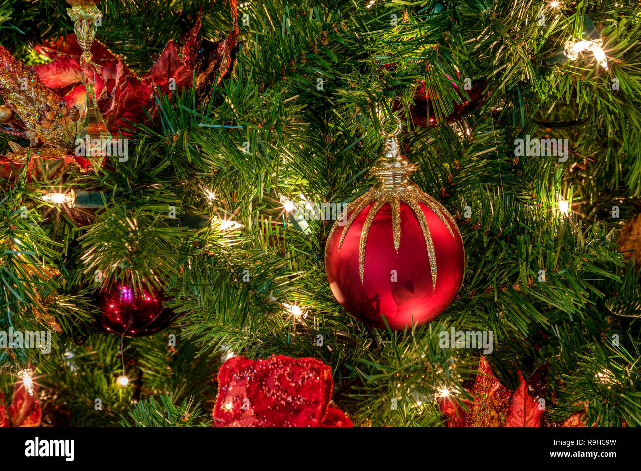 white lights on christmas tree