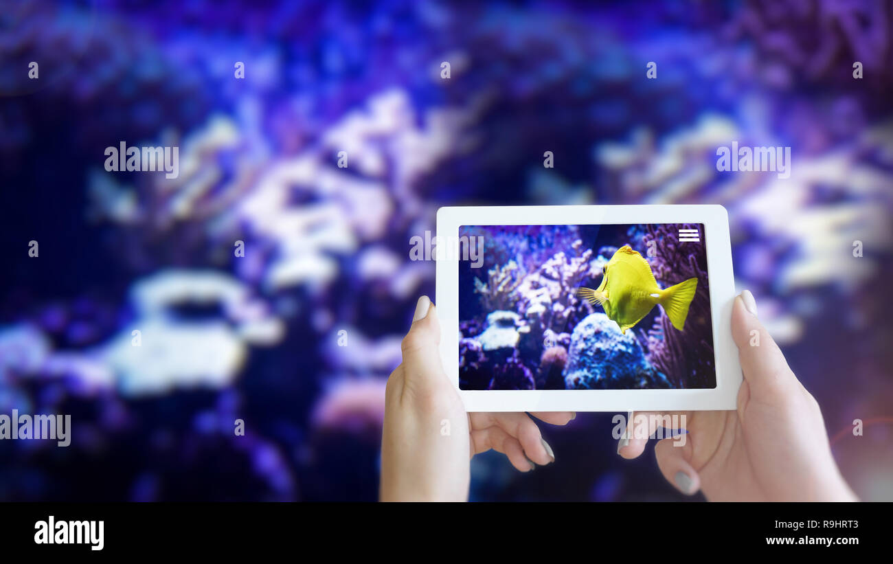 Fish swimming - Augmented Reality or AR Showing on Smart Device Tablet Screen Stock Photo