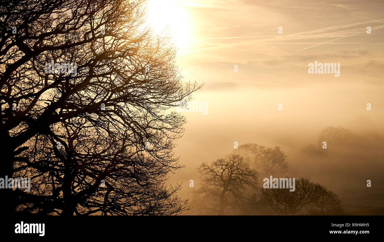 Sunrise over a frosty valley shrouded in low lying fog with trees in winter Stock Photo