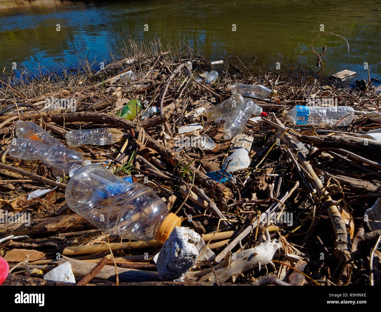 Village Creek below the city reservoir is lined with fallen branches and plastic. Plastic bottles, containers, packing material, etc Stock Photo