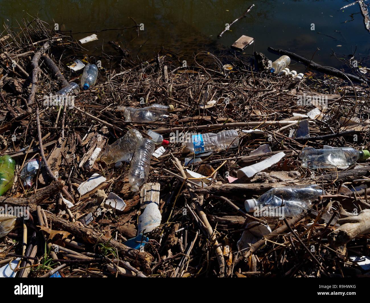 Village Creek below the city reservoir is lined with fallen branches and plastic. Plastic bottles, containers, packing material, etc Stock Photo