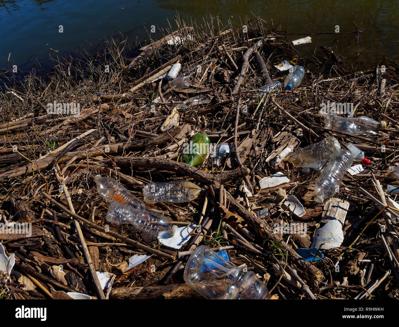 Village Creek below the city reservoir is lined with fallen branches and plastic. Plastic bottles, containers, packing material, etc Stock Photo