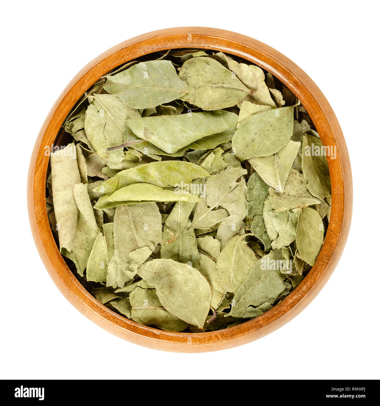 Dried curry leaves in wooden bowl. Whole green leaves of the curry tree