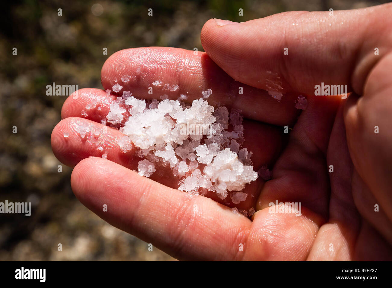 Red salt production in Puerto Rico lake pool Stock Photo