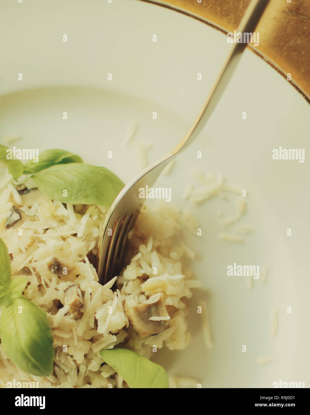 european and mediterranean cuisine styled concept - mushroom risotto ...