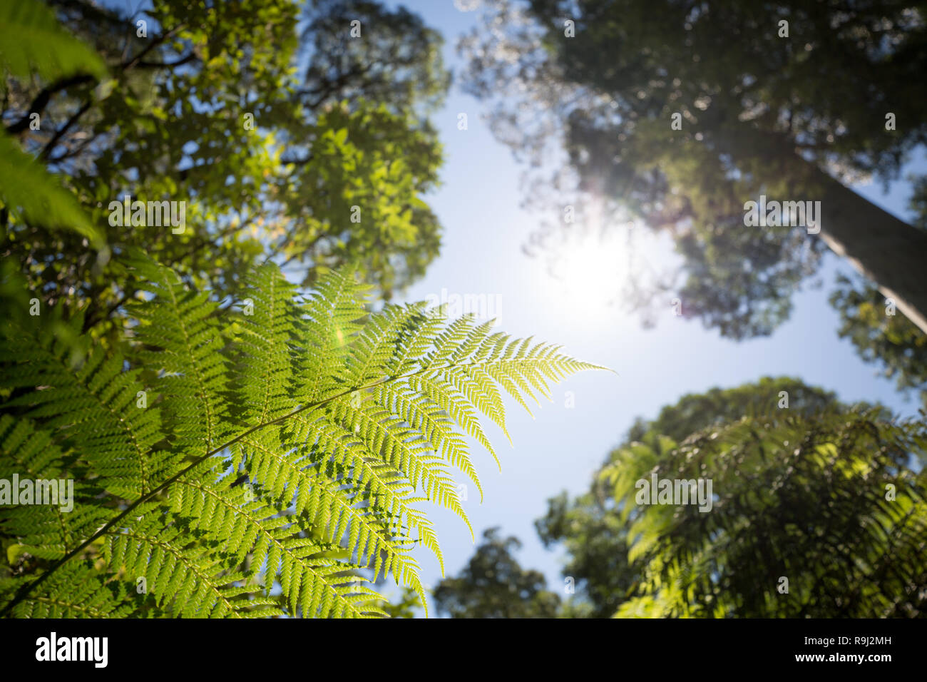 Melbourne wallpaper hi-res stock photography and images - Alamy