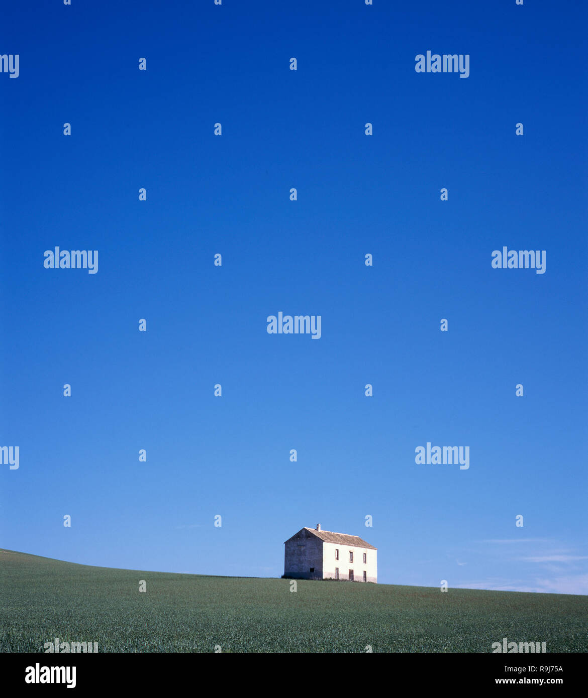 Little summer house in grass field with clear blue sky Stock Photo - Alamy