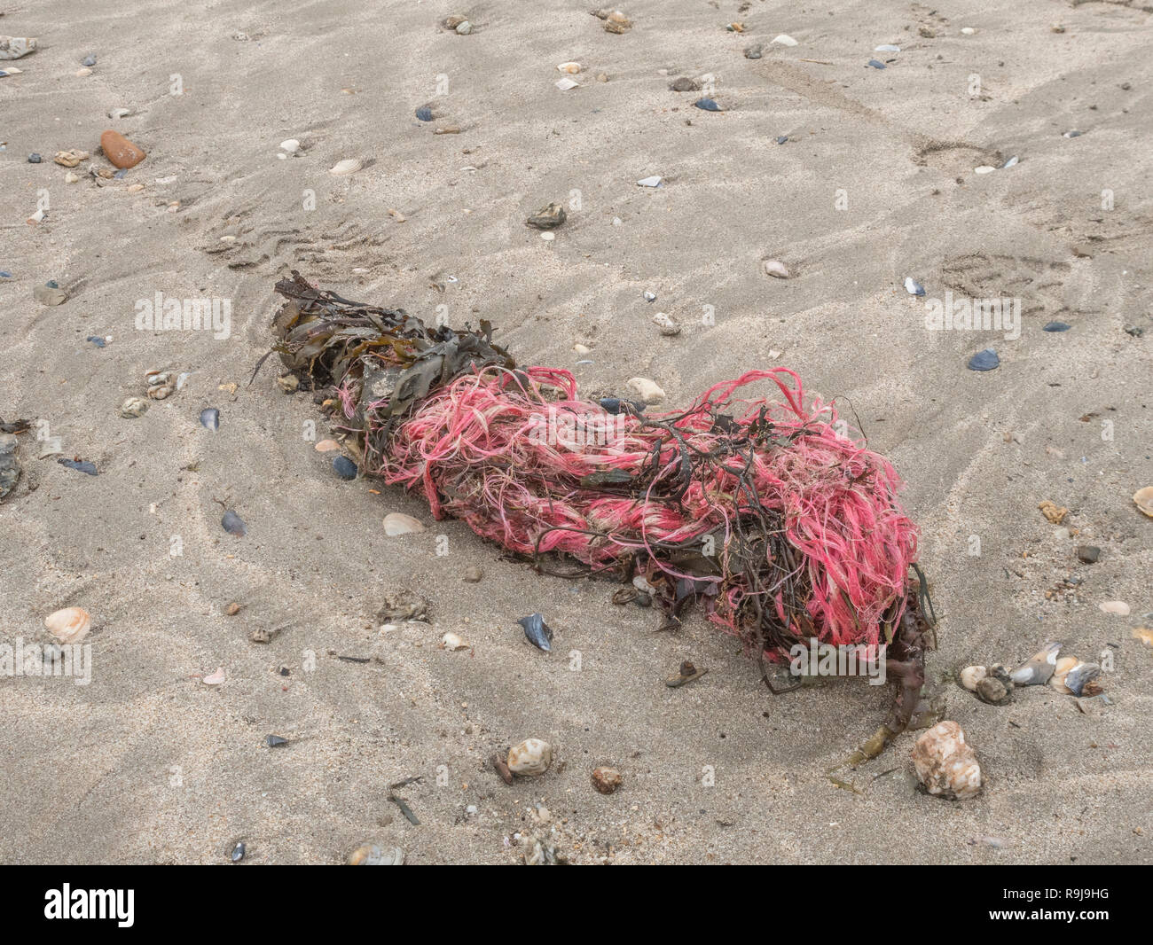 Ocean Pollution Ropes Polyester plastic rope / twine washed up on shore & polluting the ...