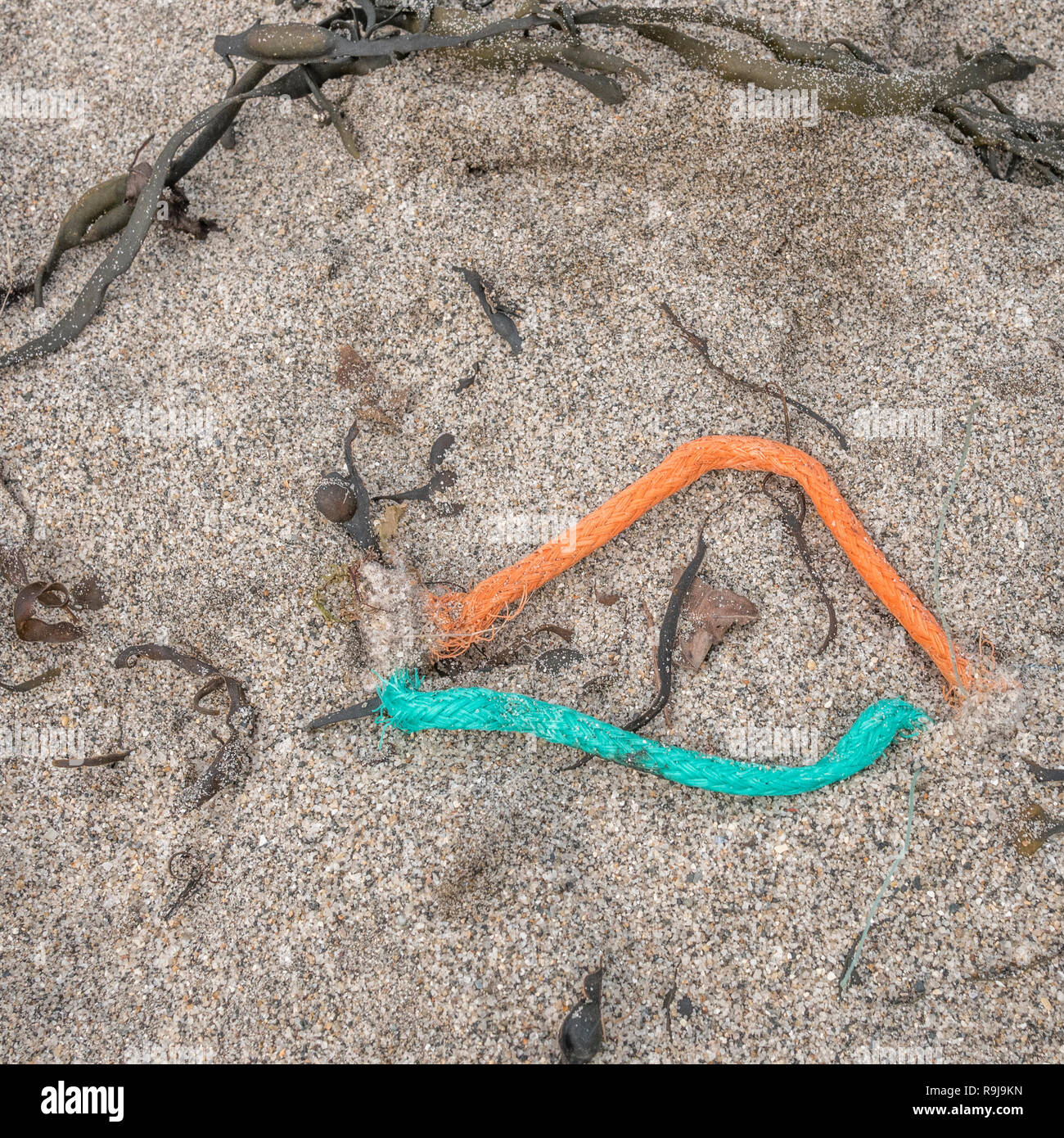 Ocean Pollution Ropes Polyester plastic rope / twine washed up on shore & polluting the ...