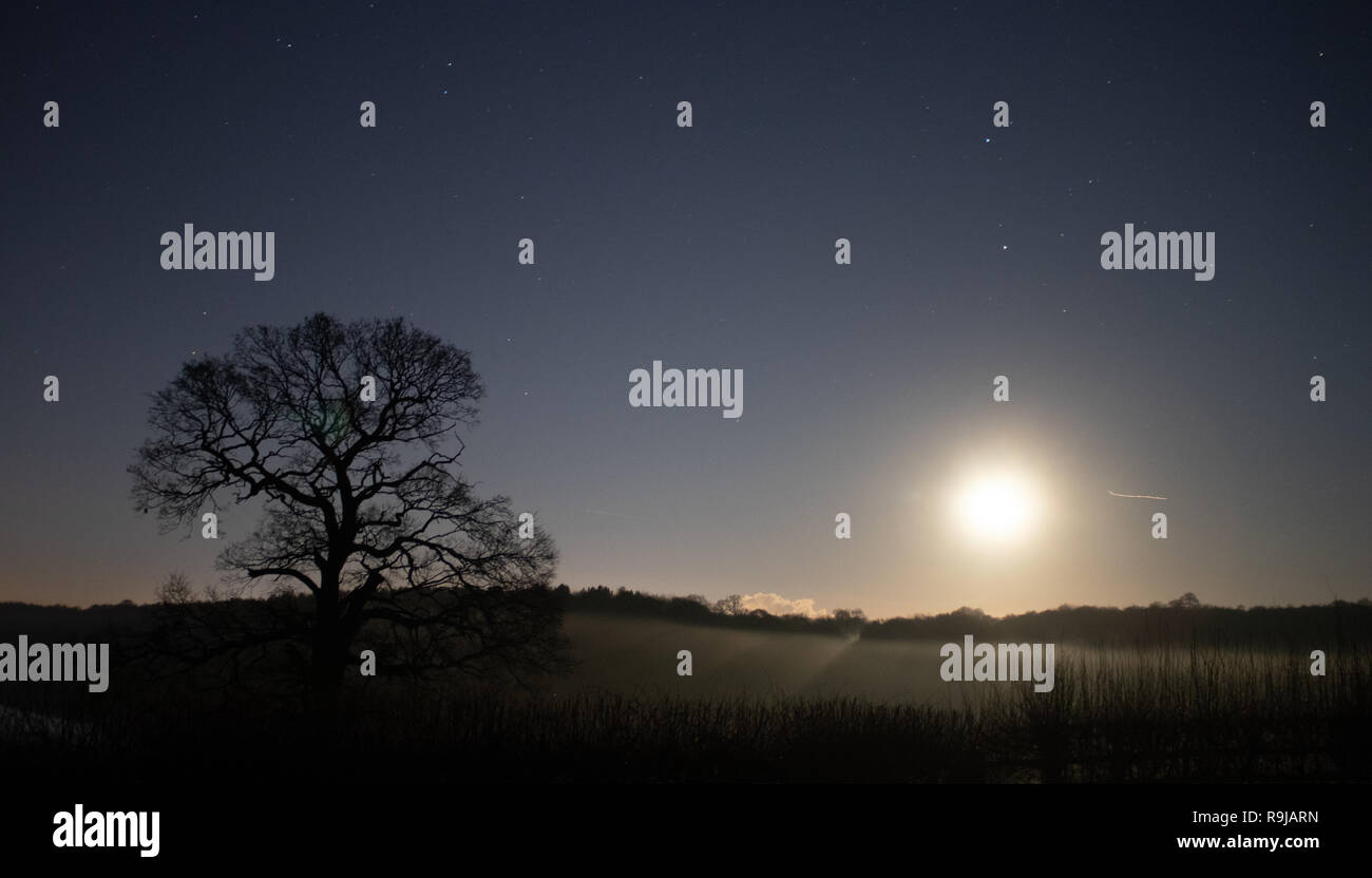 Moon light long exposure landscape with horizon and silhouetted tree(S) Stock Photo